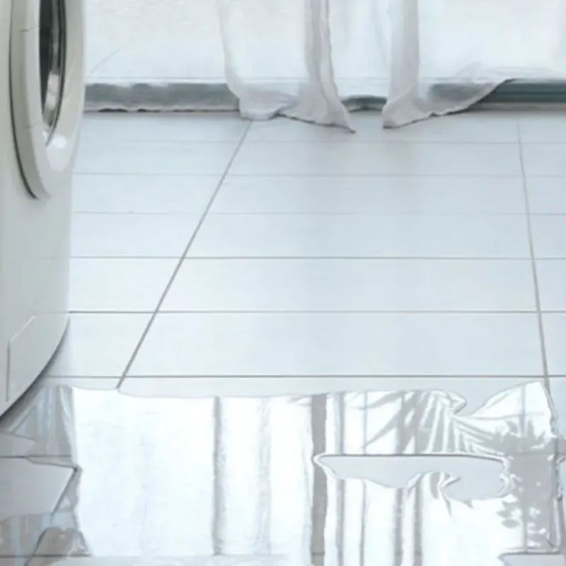 Appliance Leak Cleanup in Eastwood, LA