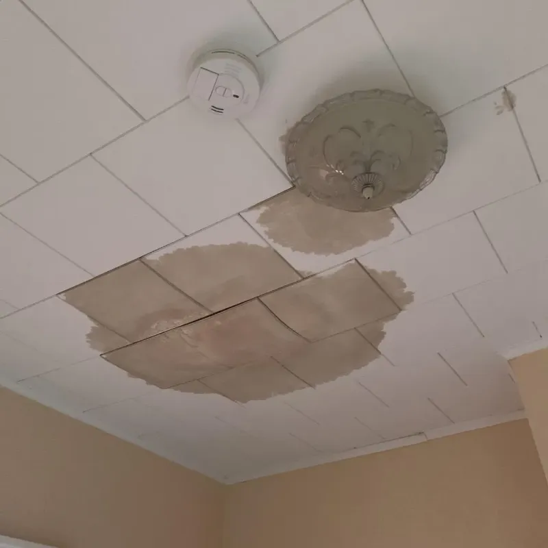 Ceiling Water Damage Repair in Eastwood, LA